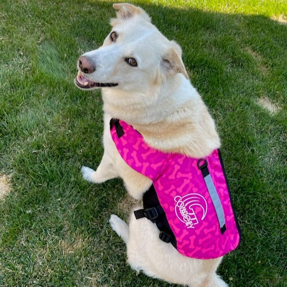 Connelly Neoprene Dog Vest