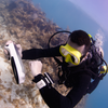 Oceanic O.i Dive Computer