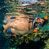 Ocean Reef Aria Classic Full Face Snorkel Mask