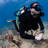Oceanic O.i Dive Computer