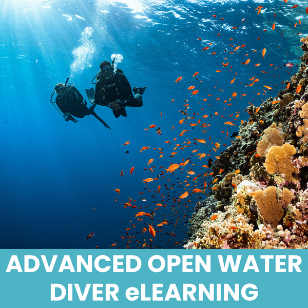 PADI Advanced Open Water ONLINE