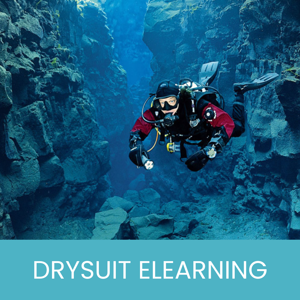 PADI Drysuit Diver eLearning