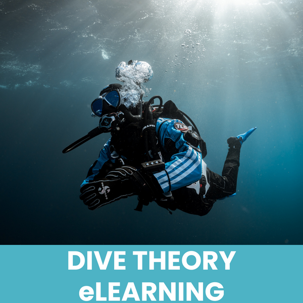 PADI Dive Theory ONLINE