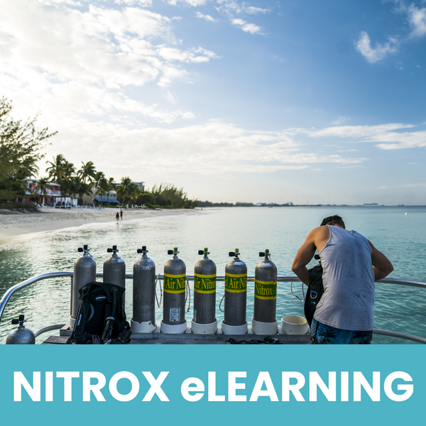PADI Enriched Air Course ONLINE