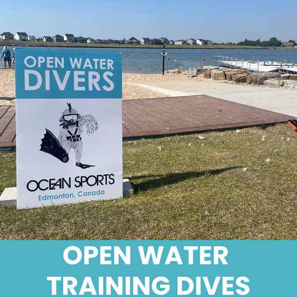 PADI Open Water Training Dives - Summer 2025 Edmonton