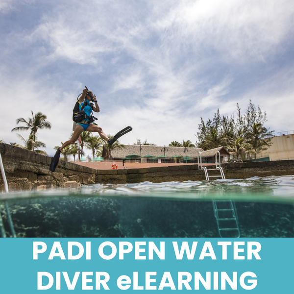 PADI Open Water Diver eLearning (ONLINE COURSE)