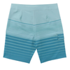 Billabong All Day Stripe Pro Boardshort 20