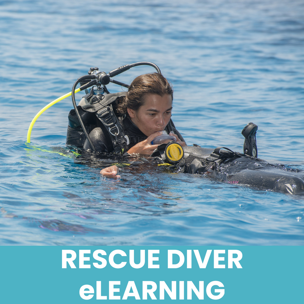 PADI Rescue Diver ONLINE