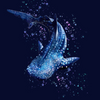 Spacefish Army Contour Leggings - Whale Shark Wonderland