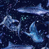 Spacefish Army Dive Socks -Whale Shark Wonderland