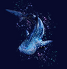 Spacefish Army Plus Size Pullover Rashguard - Whale Shark Wonderland