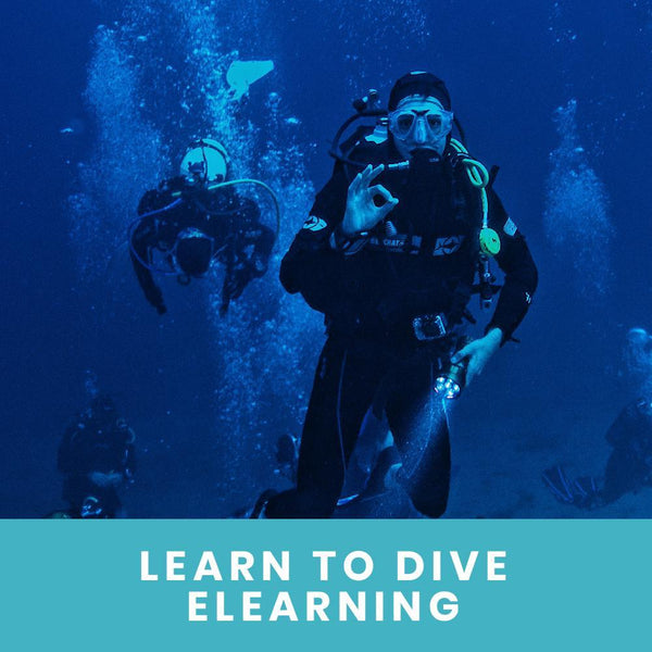 PADI Open Water Diver eLearning (ONLINE COURSE)