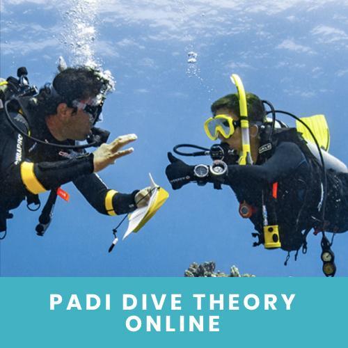 PADI Dive Theory ONLINE