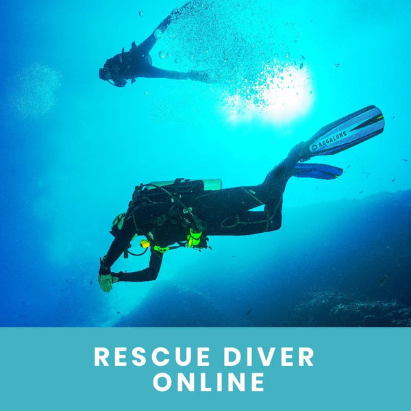 PADI Rescue Diver ONLINE