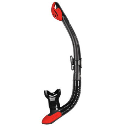 Mares Ergo Dry Snorkel